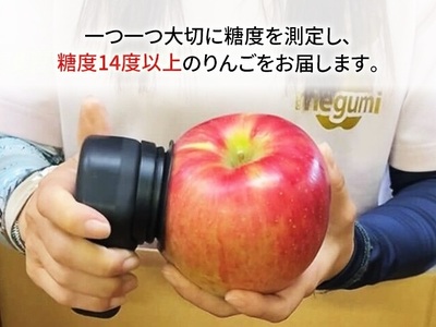 りんご サンふじ 訳あり 家庭用 高糖度 青森県産 りんご【約5kg】