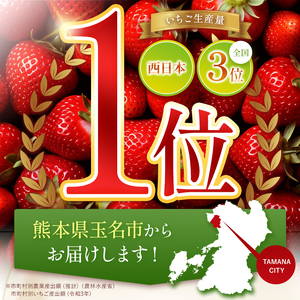  厳選農家直送 淡雪 約500g 