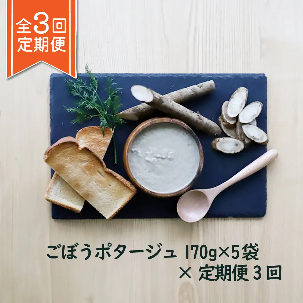 竹下牧場 takeshita farm【定期便3ヶ月】ごぼうポタージュセット 5袋 計850g【2400901】