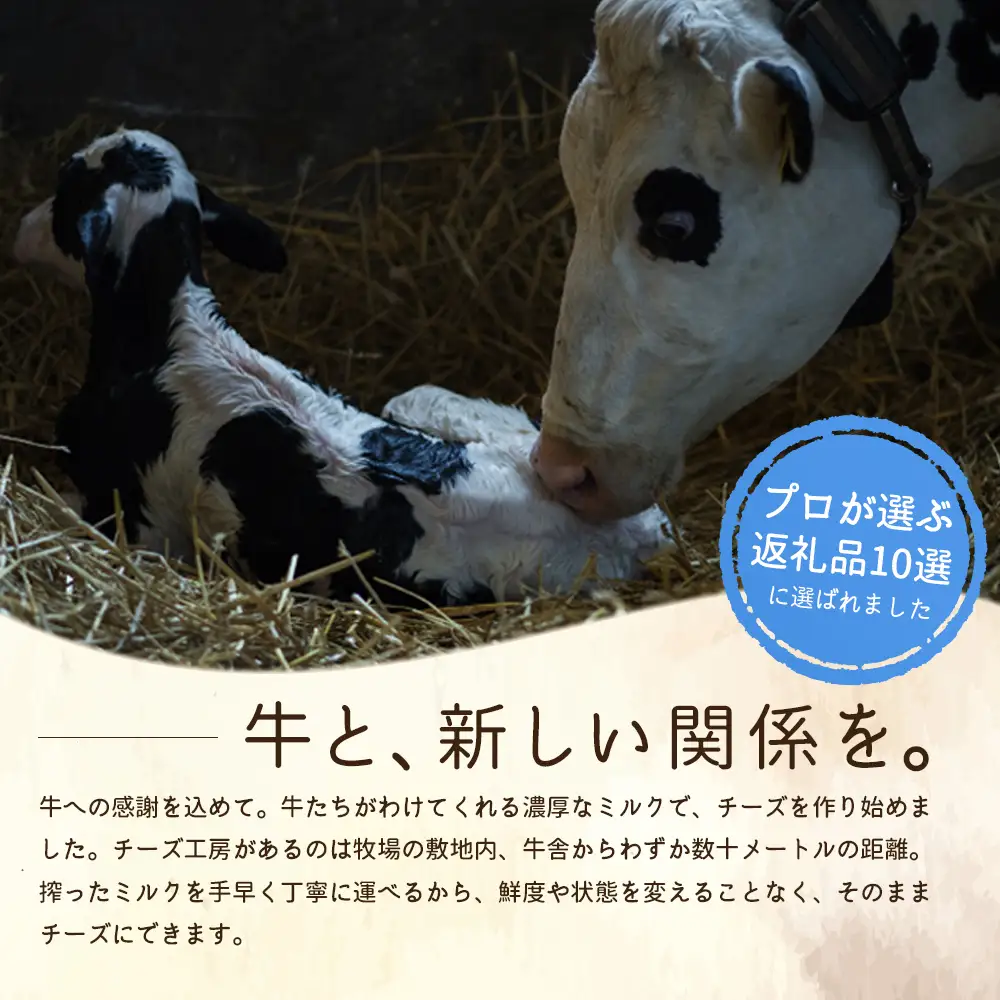 竹下牧場 takeshita farm【3ヶ月配送】マリボーチーズセット 計510g【2401502】