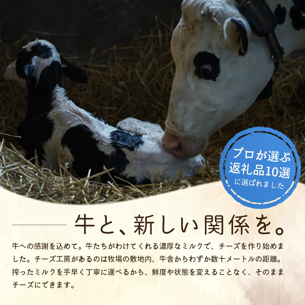 竹下牧場 takeshita farm リコッタチーズセット 計470g【2401702】