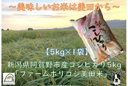 【令和7年産】阿賀野市産 コシヒカリ 「ファームホリコシ美田米」 5kg 白米 精米 新潟県 米 こめ コメ 数量限定 1週間以内に発送可 3H01010