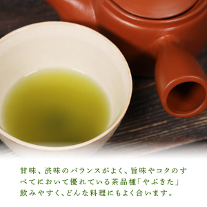 煎茶 茶葉 深蒸し茶 500g オーガニック やぶきた 有機 有機栽培