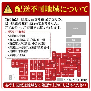 和風 おせちミニ 三段重 2人前 予約 正月