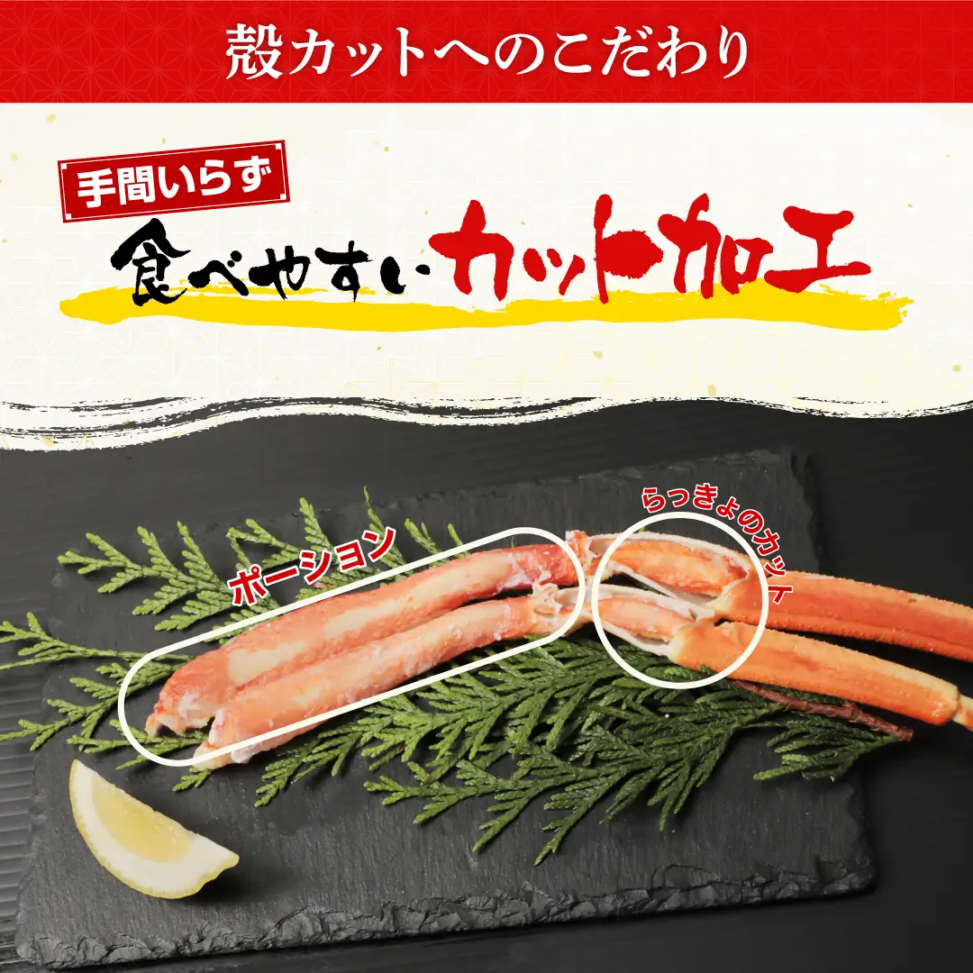 カット済み ボイルズワイガニ むき身セット 1.1kg (約3～4人前) 本ズワイガニ カニ 冷凍 [B-19608]