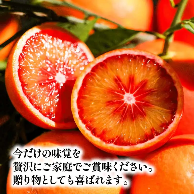 贈答用 ブラッド オレンジ モロ タロッコ 3kg YAMAUCHI FARM オレンジ B010-084004