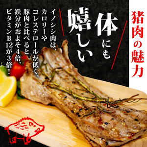 ジビエ スペアリブ 計約700g 冷凍 猪肉 天然 小分け 350g✕2 イノシシ肉 いのしし肉 焼肉 BBQ 肉 バーベキュー アウトドア キャンプ 伊勢志摩 伊勢 志摩 三重県 10000円 一万円 1万円