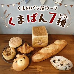くまぱんセット　～くまぱんのおすすめパン～　パン くまぱん  くまパン クロワッサン メロンパン クルミ カシューナッツ レーズン バゲット 角食パン くまのパン屋ウーフ おすすめ 防災 備蓄 奈良県 生駒市 送料無料