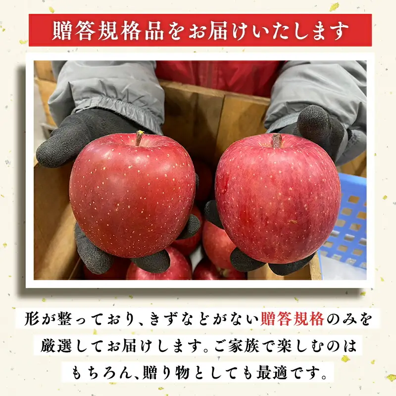 ≪12月発送 ≫ 100年の歴史 贈答規格サンふじ 約3kg 青森県平川市産[hi-0039-004]