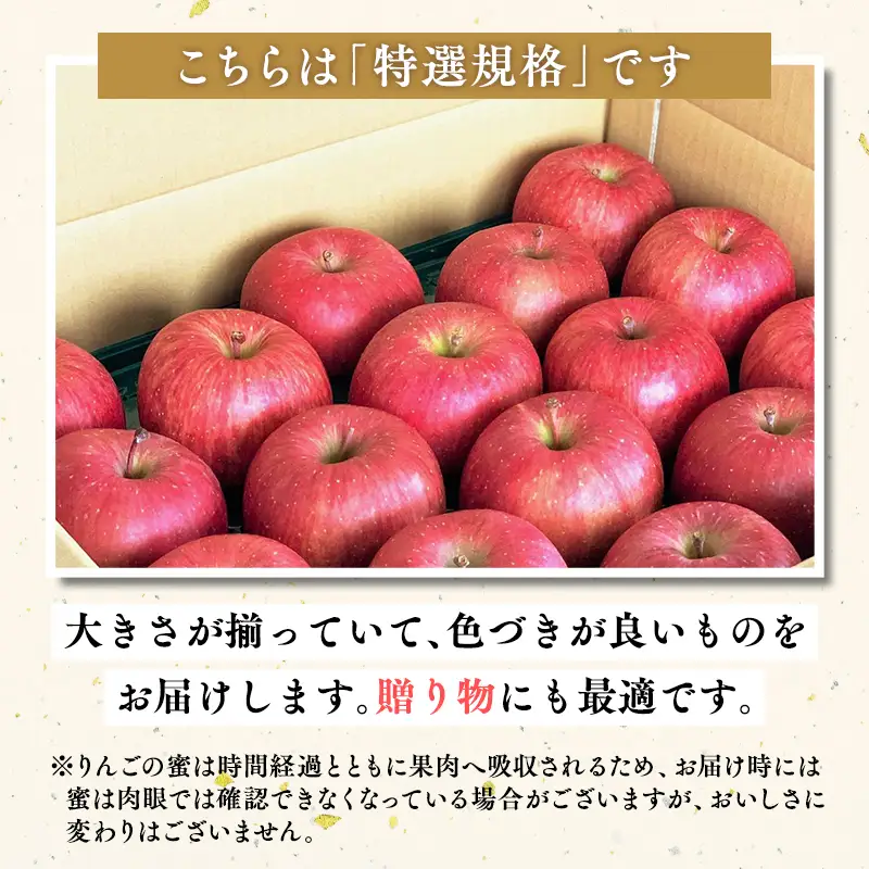 りんご 特選 サンふじ5㎏ りんご