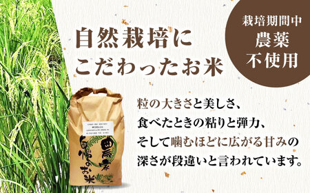 栽培期間中農薬不使用 令和7年産米 ゆうだい21 無洗米 5kg/鶴ノ原北川農園[UDL027] 米 無洗米