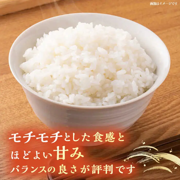 壱岐産 こしひかり 5kg《壱岐市》【壱岐市農業協同組合】[JBO147] 米 お米