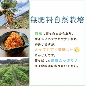 甘い葉付き人参 4kg かたもとオーガニックファーム 人参