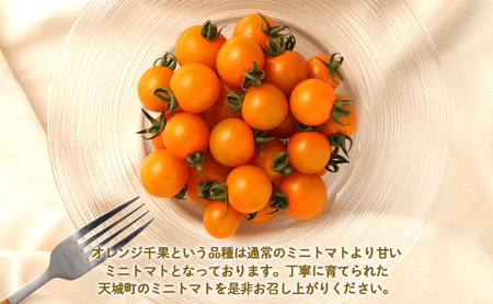 徳之島 天城町産 ミニトマト 200g×4パック 合計800g オレンジ千果 トマト