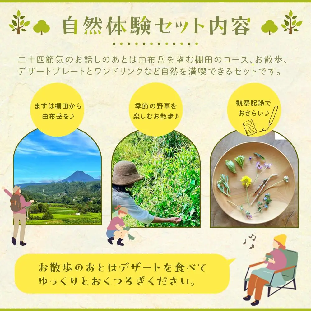 【由布の自然体験セット】野草研究会お散歩コース・カフェチケットセット 1名様分【木草舎ーもくそうやー】