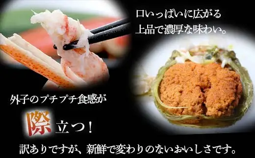 【訳あり】浜茹でオオズワイガニのメス（外子付き）1.5kg 詰め込みセット 北海道噴火湾産 ＜道産ネットミツハシ＞ かに カニ 蟹 がに 北海道 森町 ふるさと納税 mr1-1382