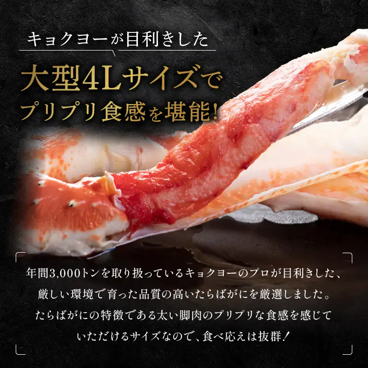 タラバ 脚 ボイル NET重量 600g 4L シュリンク 数量限定 キョクヨー たらばがに タラバガニ たらば蟹 カニ 蟹 肩 足 魚介 海鮮 極洋カニ鍋 焼きガニ_AR007
