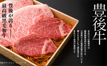 豊後牛 ロースステーキ 180g×2＆肩肉スライス薄切り 350g 計710g ステーキ 大分県 日田市 ロースステーキ [ARCG002]