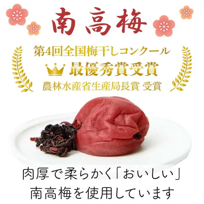 【最短1週間以内発送】 梅造り一筋！ 梅干し 700g 日田市[ARCH001]