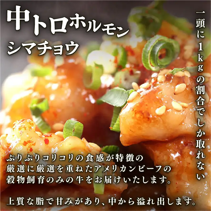 訳あり 中トロホルモン 西京味噌焼き 600g (100g×6) ホルモン