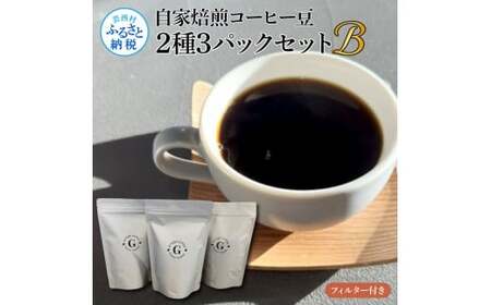 自家焙煎コーヒー豆2種3パックセットB フィルター付き 各150g×3P 計450g コロンビア×2P タンザニア×1P 