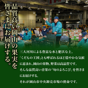 ZZ-18　【令和8年発送・先行予約】岡山県産　シャインマスカット（1房600g以上・晴王）2房　化粧箱入り