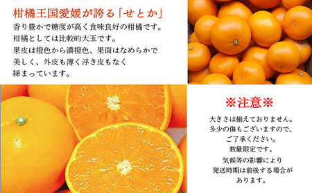 先行予約 数量限定＜愛媛西予市産 せとか 約1kg＞ 果物 くだもの フルーツ 柑橘類 ミカン みかん 甘い 特産品 糖度 家庭用 自宅用 産地直送 渡江から一歩を踏み出す会 食べて応援 愛媛県 西予市 【常温】『2026年3月上旬～4月中旬順次発送予定』ATI0032
