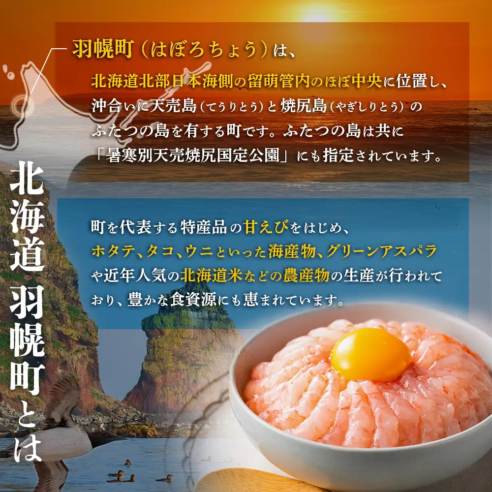 北海道羽幌町への応援寄付　返礼品なし　1口 1,000円【99001】