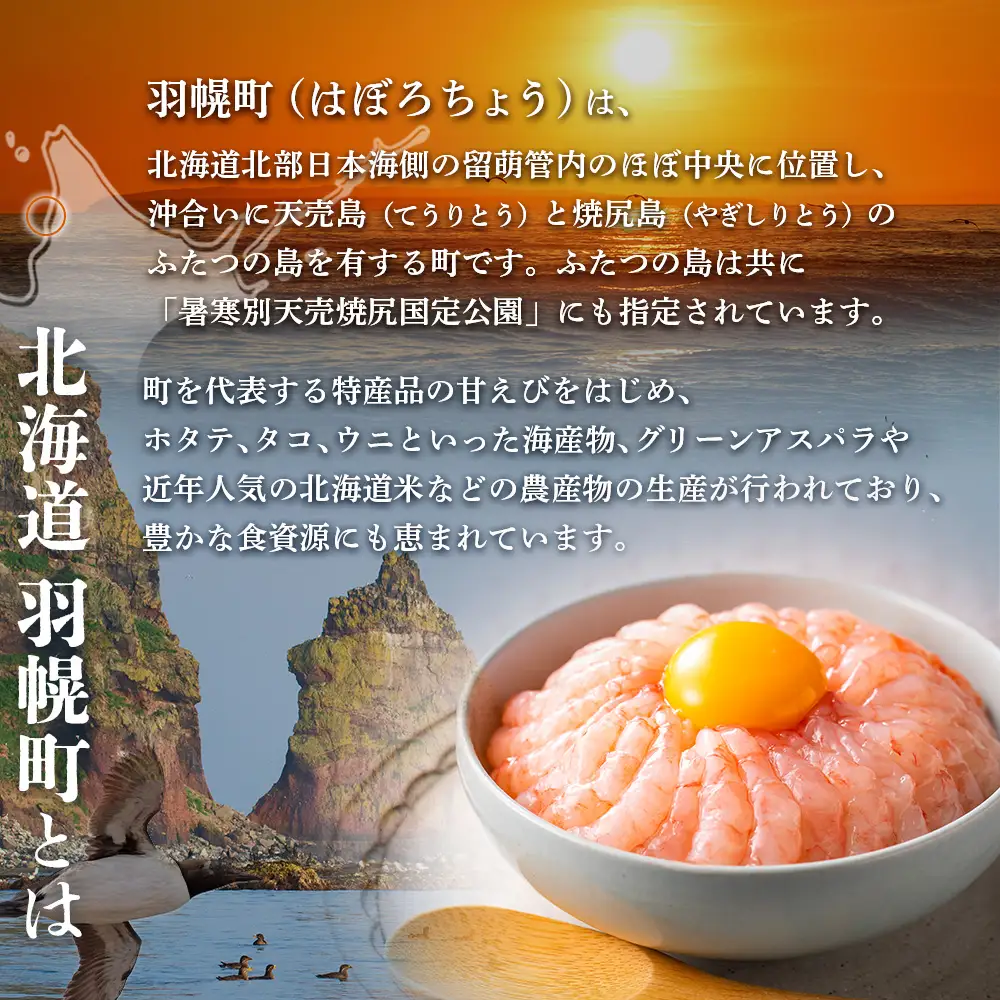 北海道羽幌町への応援寄付　返礼品なし　1口 2,000円【99002】