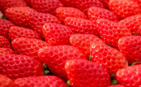 いちご食べ比べセット いただきいちご園 厳選 いちご食べ比べセット【2品種 化粧箱入り】