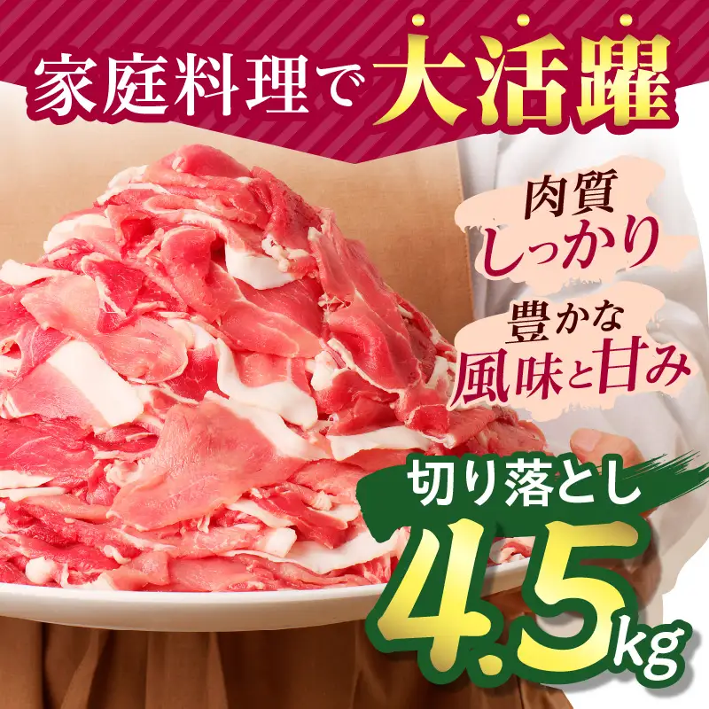 豚肉 切り落とし 豚肉[宮崎県産 4.5kg 500g×9P]