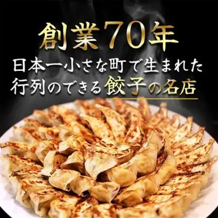 やっこ餃子【配送不可地域：離島】【1530592】