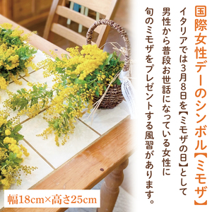 【先行予約】【2027年3月以降配送・数量限定】ミモザのバスケットアレンジ（限定品）【インテリア おしゃれ 壁飾り プレゼント お花 ギフト ナチュラル アレンジ フラワーアレンジ 水戸市 水戸 茨城県】（KW-4）