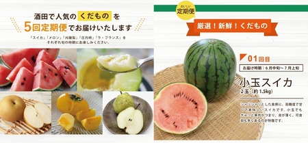 SF0302　【5回定期便】酒田の実り定期便2026 (小玉すいか、アンデスメロン、刈屋梨、庄内柿、ラ・フランス) 