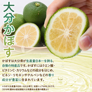 かぼすのチカラ(190ml×24本) かぼす ドリンク ジュース 大分県産 特産品 大分県 佐伯市 防災 常温 常温保存【DT09】【全国農業協同組合連合会大分県本部】