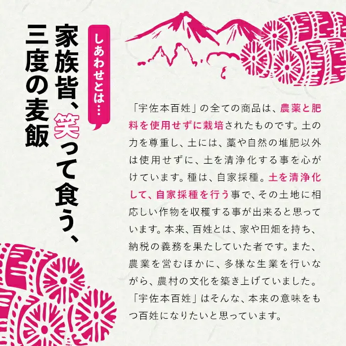 ＜先行予約受付中！2026年11月上旬以降順次発送予定＞＜令和8年産＞しあわせ米 精米 真空パック(計1.8kg・900g×2袋) お米 白米 常温 常温保存 小分け【101000800】【宇佐本百姓】