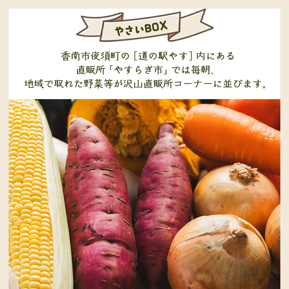【定期便】野菜5種前後 | 野菜 定期便 野菜 定期便 野菜 定期便  Wyr-0029