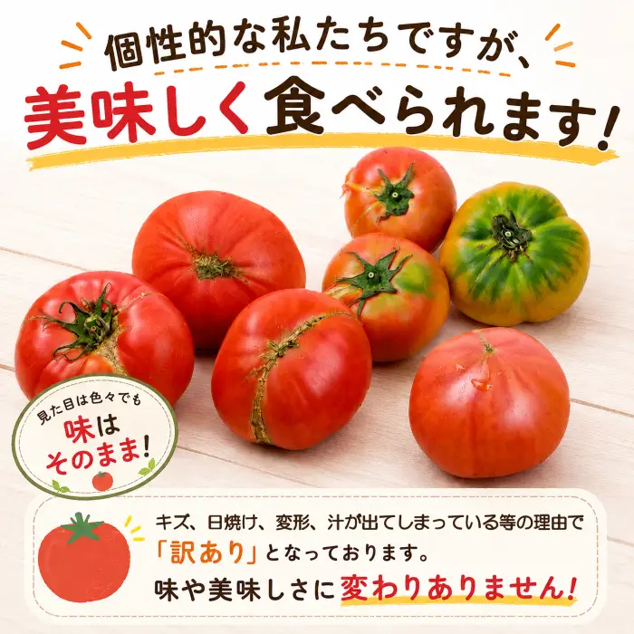 【 訳あり 】トマト フルーツトマト 大箱 約2.6kg × 1箱 【大玉 20～35玉/1箱】 2027年産 とまと