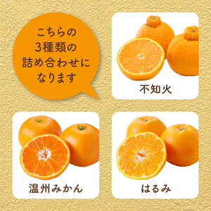 【先行受付】瀬戸内 旬の柑橘詰め合わせ 約5kg 白鷺農園《2027年2月下旬～4月上旬頃出荷》温州ミカン ハルミ 不知火 デコポンと同品種  柑橘 フルーツ 果物 はるみ みかん しらぬい デコポン 贈答 164004