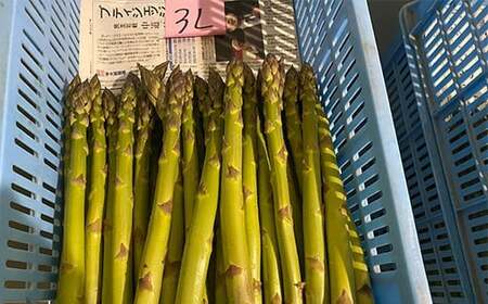 【令和9年産先行予約】 アスパラガス (春芽) 約1kg (3Lサイズ 約20～25本前後) 《令和9年4月下旬～発送》 『生産者 紺野 幸陽』 グリーン 農家直送 山形県 南陽市 [2243]