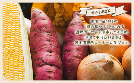 【3回定期便】野菜BOX 7種類前後【 野菜の定期便 野菜の定期便 野菜の定期便 】 Wyr-0035