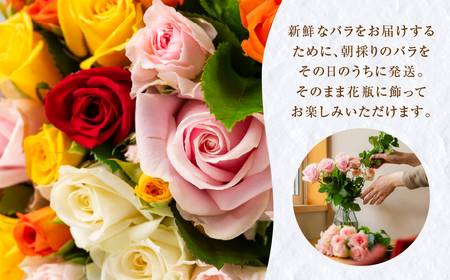 バラ 花束 ご家庭用ミックス 100本 薔薇の花束