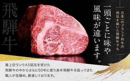 A5等級 飛騨牛と飛騨豚の手ごね ハンバーグ 140ｇ14個 | ハンバーグ HF044