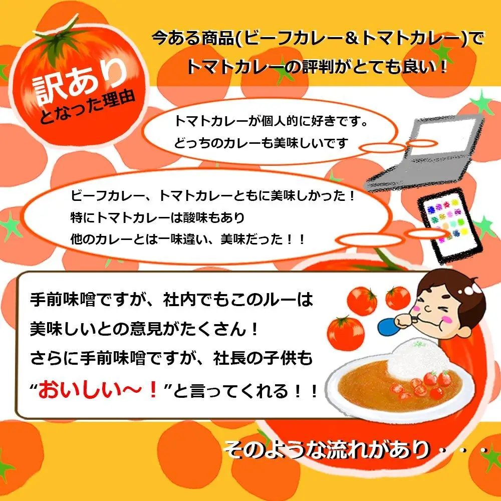 とまとたっぷり カレー（160g×7袋）| 訳あり レトルト トマト カレー  ふるさと清見21 DC021
