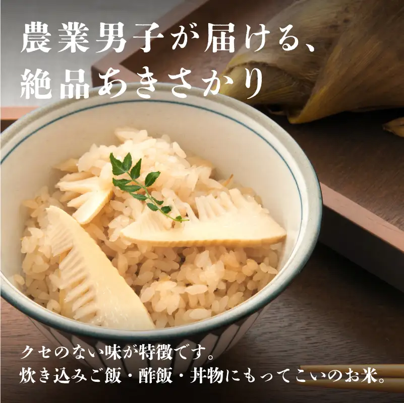 令和7年産  あきさかり　通常便（1回配送）計10kg（5kg×2袋）