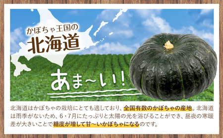 こふき かぼちゃ 南瓜 約5kg 3~4玉 《2026年9月下旬-10月下旬頃出荷》高橋賢三 送料無料 北海道 本別町 北海道 十勝 本別町産 かぼちゃ 栗かぼちゃ パンプキン ホクホク 野菜