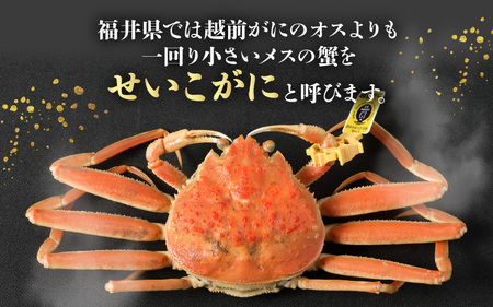 【先行予約】せいこがに 大 約200g × 2杯【冷凍】【2026年11月下旬以降順次発送予定】はるか丸厳選！浜茹で せいこがに [m36-c005]