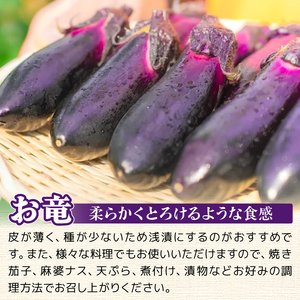 なす 約 2㎏ 約20本 高知県安芸市｜ナス AR002