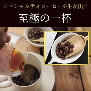 燃虎珈琲オリジナルブレンド　100g×3袋セット□