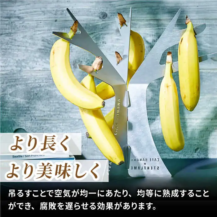 組み立て式バナナスタンド　STEN FLAME TREE 【株式会社 丸山ステンレス工業】[ZBU013]